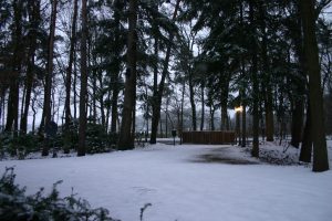 Lees meer over het artikel Waarschuwing: sneeuw levert gevaar van vallende takken op