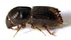 Lees meer over het artikel Letterzetter rukt up